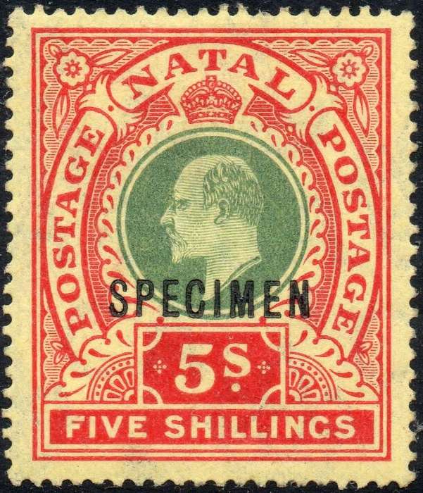 NATAL SACC143s 5/- GREEN & RED ON YELLOW ``SPECIMEN`` - MM