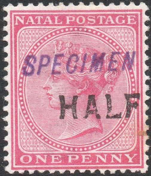 NATAL 1895 SG125s ½d  on 1d ROSE ``SPECIMEN`` MM