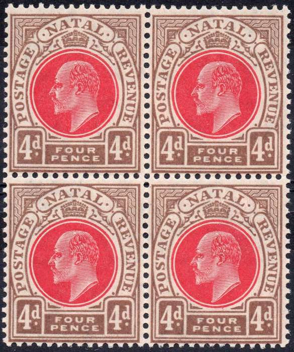 NATAL 1904-8 SACC133 : 4d CARMINE & CINNAMON BO4 - UNMOUNTED MINT