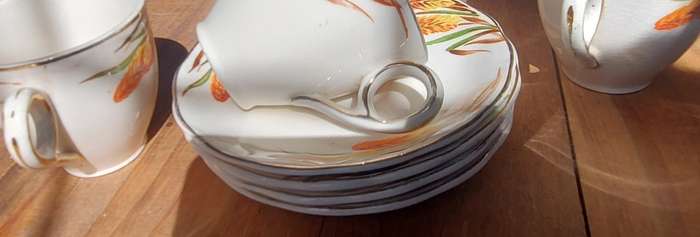 vintage WH Grindley Creampetal Flame Flower pattern demitasse set