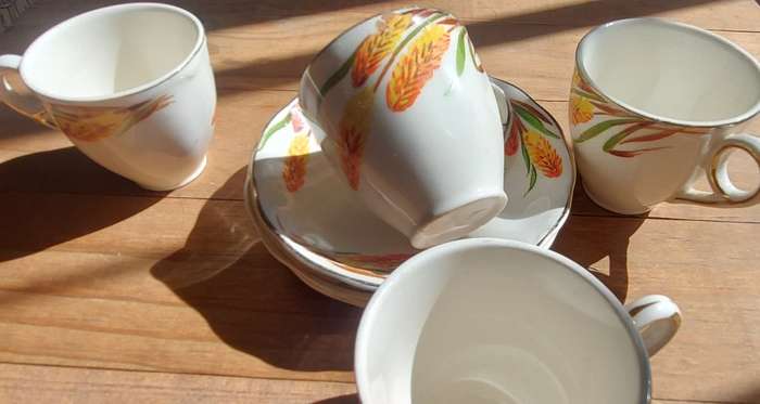 vintage WH Grindley Creampetal Flame Flower pattern demitasse set