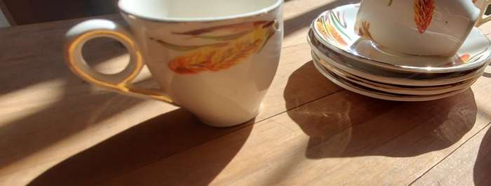vintage WH Grindley Creampetal Flame Flower pattern demitasse set