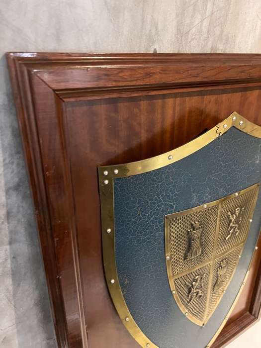 LARGE FRAMED DISPLAY SHIELD HIGHLY DETAILED 81CM TALL !!!