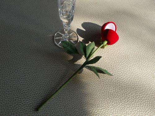 marriage proposal - wedding - Ring Box  Velvet Rose 27cm x 4.2cm - for your special day