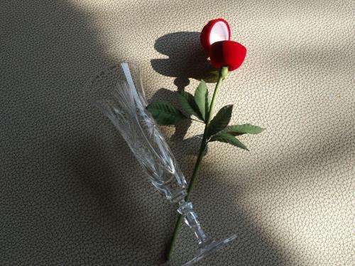 marriage proposal - wedding - Ring Box  Velvet Rose 27cm x 4.2cm - for your special day