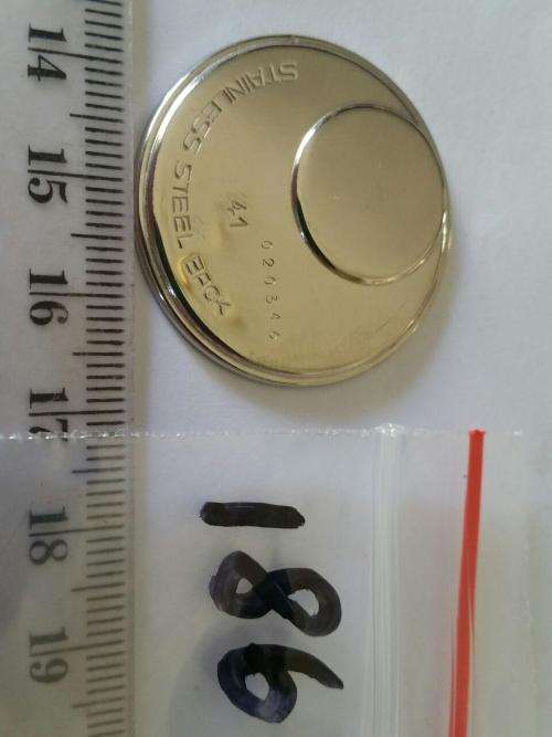Watch parts - push bottom 020346 - inside 32.1mm -Watchmaker Treasures