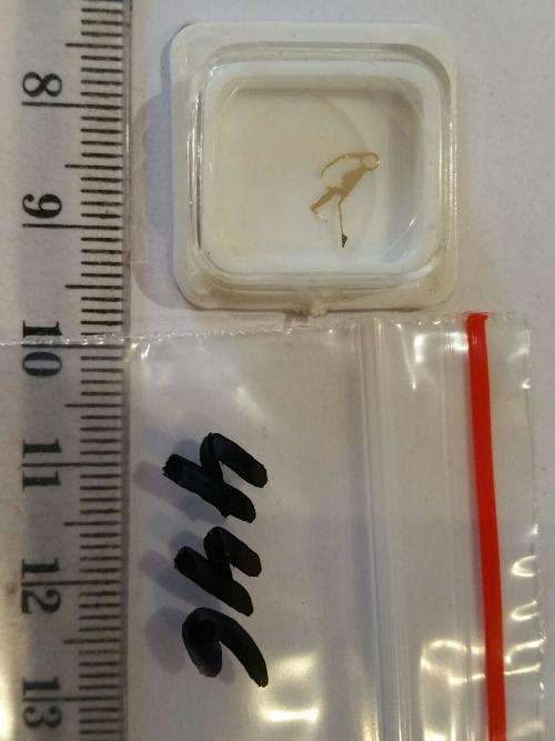 Watch parts-Ronda Kal. 703 EB Nr. 435 Flume- Watchmaker Treasure