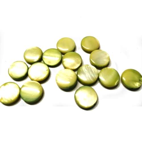 Beads / Shell  Beads +/-13mm -14pcs / Beads for crafting
