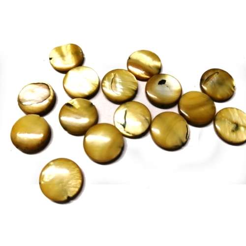 Beads / Shell  Beads +/-13mm -15pcs / Beads for crafting