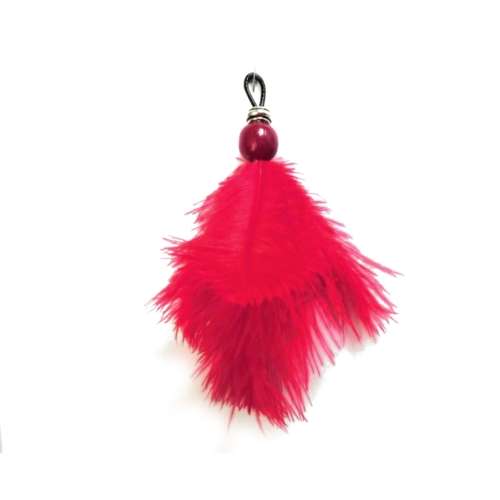 Ostrich Feather Key Hanger