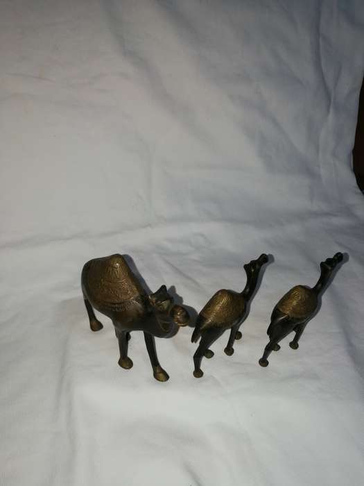 Vintage heavy brass/ bronze 3 camel set