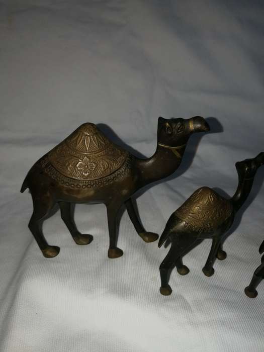 Vintage heavy brass/ bronze 3 camel set