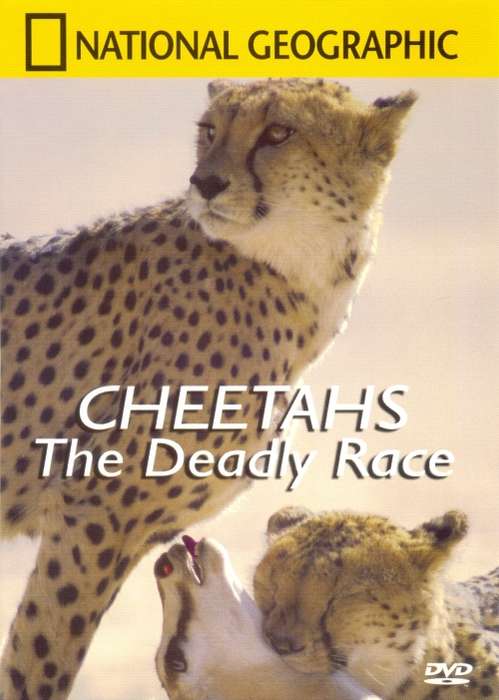 National Geographic - Cheetahs The Deadly Race (DVD)
