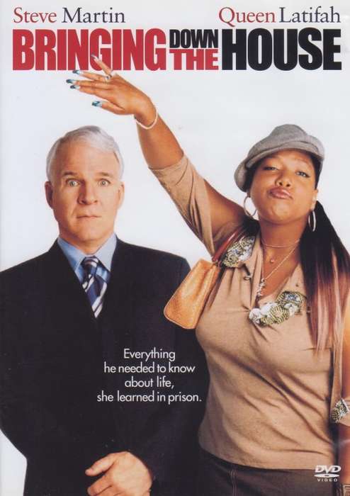 Bringing Down The House (DVD)