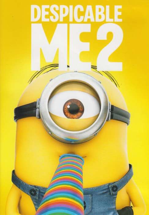 Despicable Me 2 (DVD)