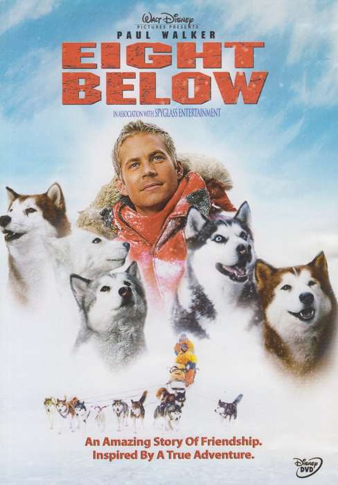 Eight Below (DVD)
