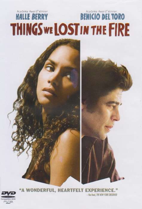 Things We Lost In The Fire (DVD)