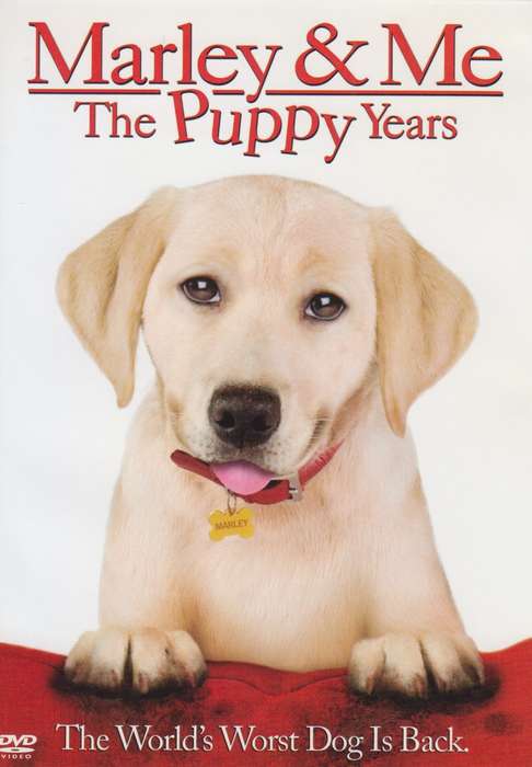 Marley & Me - The Puppy Years (DVD)