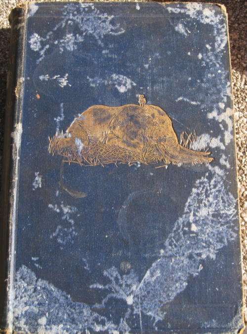 The Adventures of an Elephant Hunter. by James Sutherland.1st edition and reprint 1912.Rare.