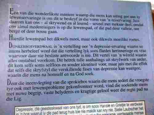 DONKER BOS VERDWAAL - BELYDENIS VAN N` DEPRESSIELYER - SIELIE LAUBSCHER
