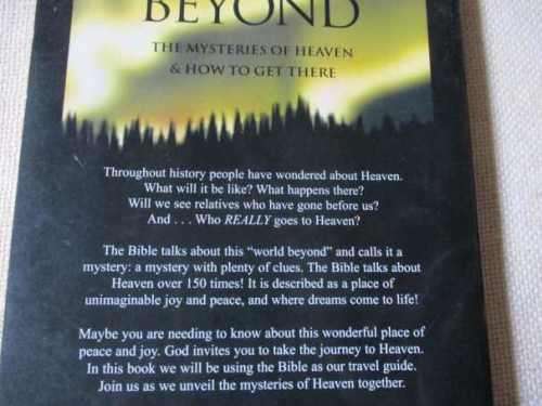 THE WORLD BEYOND - THE MYSTERIES OF HEAVEN & HOW TO GET THERE - DAVE WILLIAMS