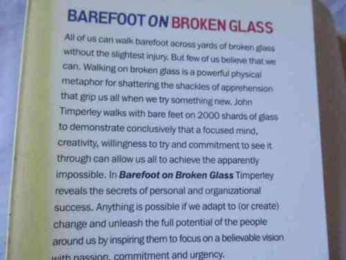 BAREFOOT ON BROKEN GLASS - THE FIVE SECRETS OF PERSONAL SUCCESS IN A MASSIVELY CHANGING BUSINESS ...