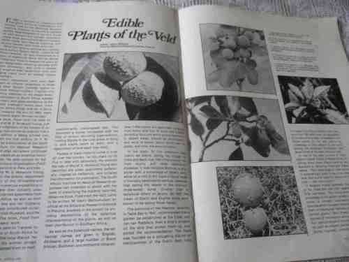 SA PANORAMA MAGAZINE MARCH 1983 ( MODJADJI RAIN QUEEN, EDIBLE VELD FRUITS, PETER LEFTWICH ARTIST,