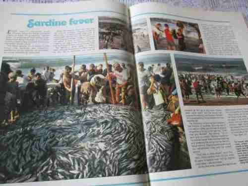 SA PANORAMA MAGAZINE JULY 1980 ( GOLDEN ACRE CT, DONALD MCFARLANE - CHESS, SARDINE RUN, LONDOLOZI,