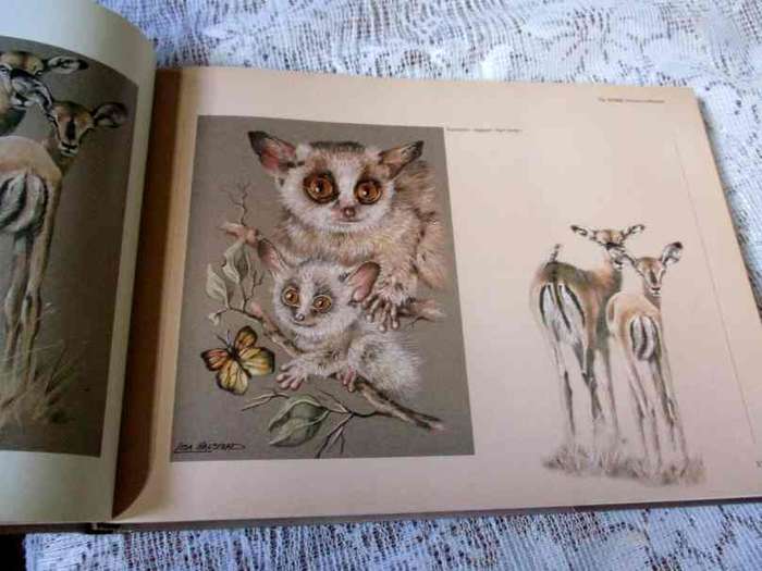 OUT OF THE MEEK, COMES THE WILD - LISA HALSTEAD WILDLIFE ARTIST WRITTEN BY DAVID ELLIOT WIEN