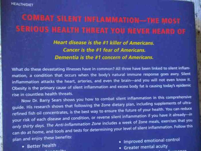 THE ANTI INFLAMMATION ZONE - REVERSING THE SILENT EPIDEMIC .. - DR BARRY SEARS