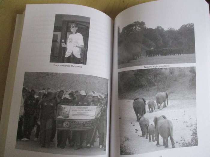 TWENTY EIGHT ELEPHANTS AND OTHER EVERYDAY MIRACLES - JACQUIE GAUTHIER - SIGNED