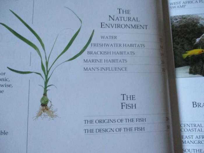 THE COMPLETE AQUARIUM - A PRACTICAL GUIDE TO BUILDING, STOCKING AND MAINTAINING FRESHWATER & MARINE