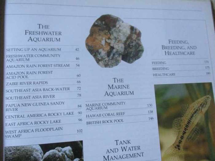 THE COMPLETE AQUARIUM - A PRACTICAL GUIDE TO BUILDING, STOCKING AND MAINTAINING FRESHWATER & MARINE