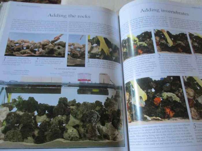 THE COMPLETE AQUARIUM - A PRACTICAL GUIDE TO BUILDING, STOCKING AND MAINTAINING FRESHWATER & MARINE