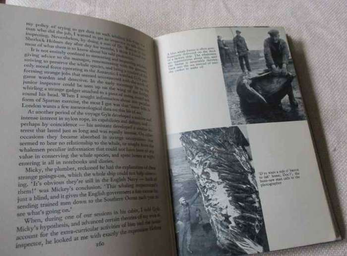 OF WHALES AND MEN - R.B. ROBERTSON
