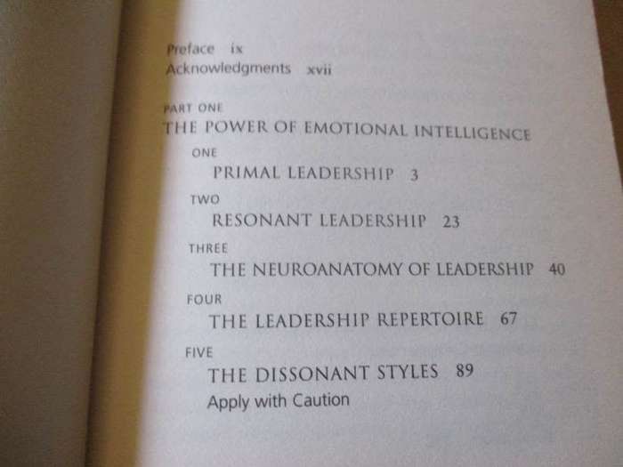 THE NEW LEADERS - TRANSFORMING THE ART OF LEADERSHIP INTO THE SCIENCE OF RESULTS - DANIE GOLEMAN