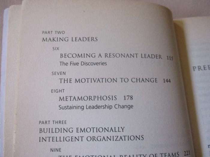 THE NEW LEADERS - TRANSFORMING THE ART OF LEADERSHIP INTO THE SCIENCE OF RESULTS - DANIE GOLEMAN