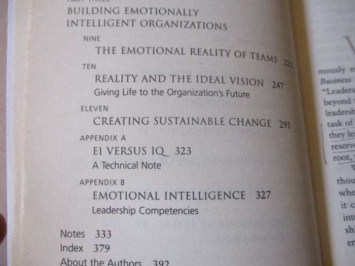 THE NEW LEADERS - TRANSFORMING THE ART OF LEADERSHIP INTO THE SCIENCE OF RESULTS - DANIE GOLEMAN