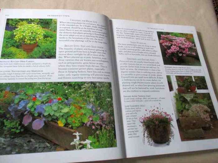 CONTAINER GARDENING THROUGH THE YEAR - MALCOLM HILLIER ( DK )