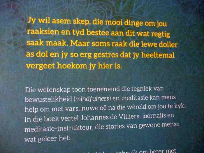 KALMTE IN DIE MALLE GEJAAG - MINDFULNESS VIR BESIGE MENSE - JOHANNES DE VILLIERS