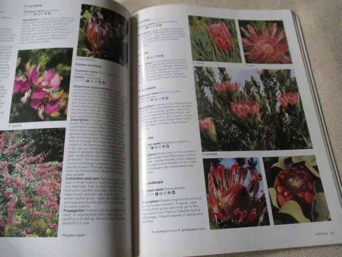 GARDENING WITH INDIGENOUS PLANTS - EASY-TO-GROW SOUTHERN AFRICAN PLANTS .. - KRISTO PIENAAR