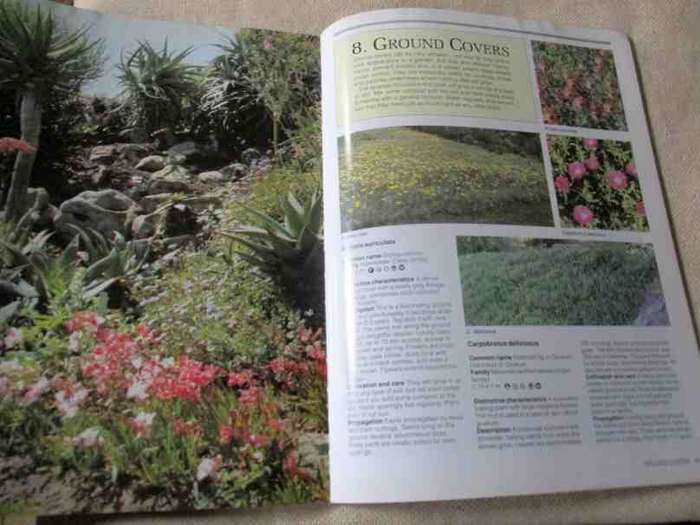 GARDENING WITH INDIGENOUS PLANTS - EASY-TO-GROW SOUTHERN AFRICAN PLANTS .. - KRISTO PIENAAR