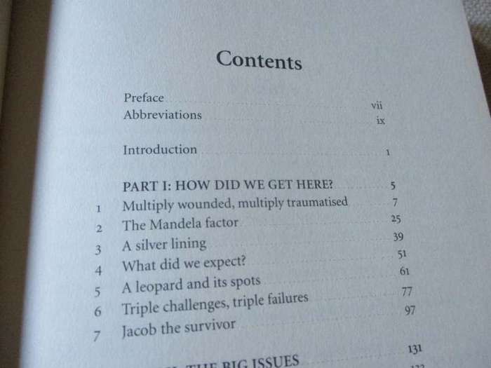 A RUMOUR OF SPRING - SOUTH AFRICA AFTER 20 YEARS OF DEMOCRACY - MAX DU PREEZ