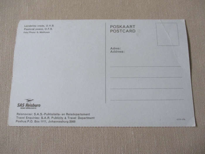 PASTORAL PEACE, OFS   - POST CARD ( vintage south african post card )
