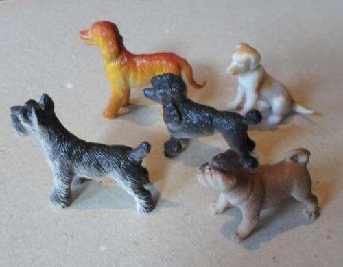 DOGS x 5