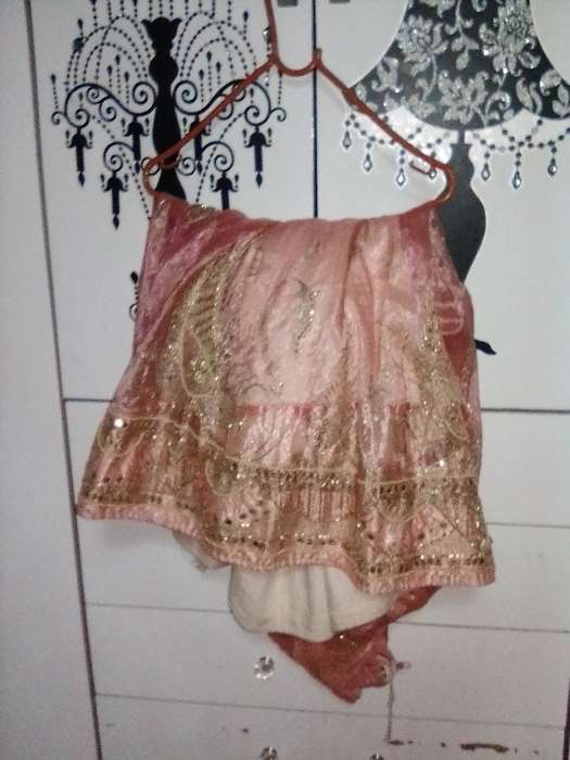 Stunning light pink lined and netted Indian outfit