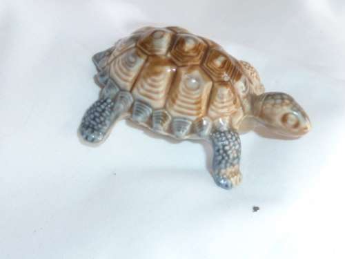 WADE Tortoise (RARE Size)
