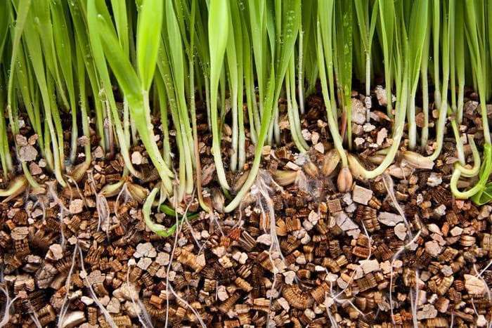 VICAFIL VERMICULITE, MICRON 10 kg