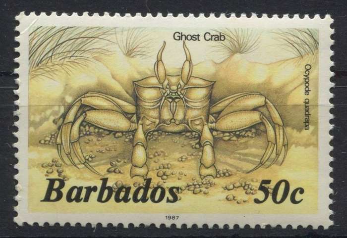 Barbados