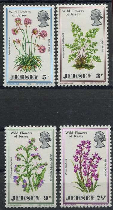 Jersey
